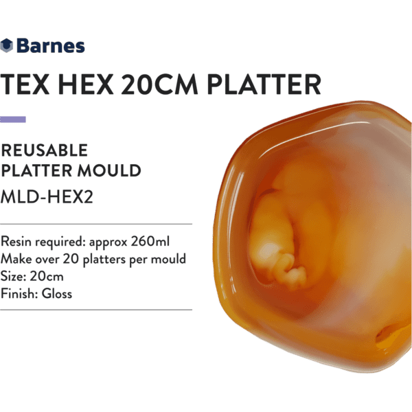 Hex Platter Mould
