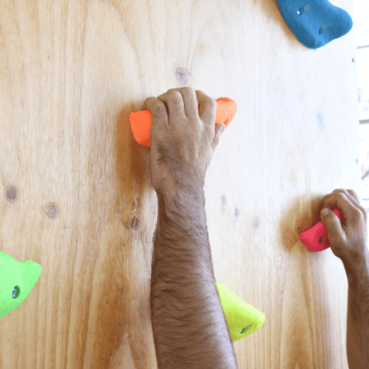 PROCAST CLIMBING HOLDS